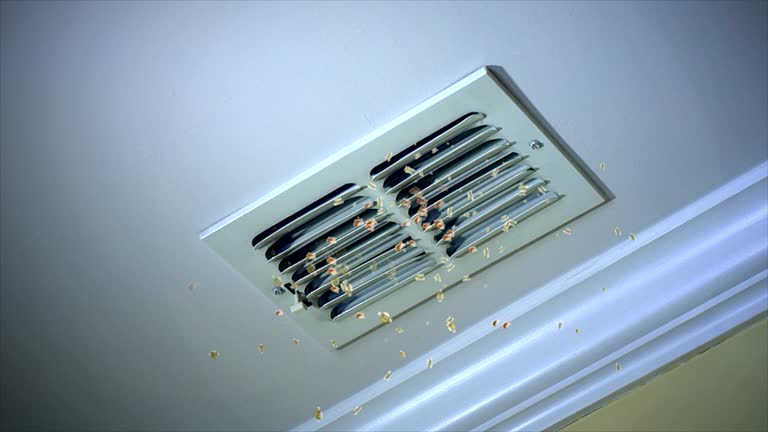 Best HVAC System Cleaning  in Brighton, MI