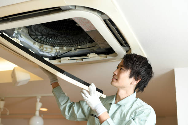 Best Professional Duct Cleaning Services  in Brighton, MI