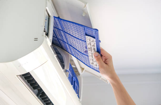 Best Local Air Duct Cleaning Services  in Brighton, MI