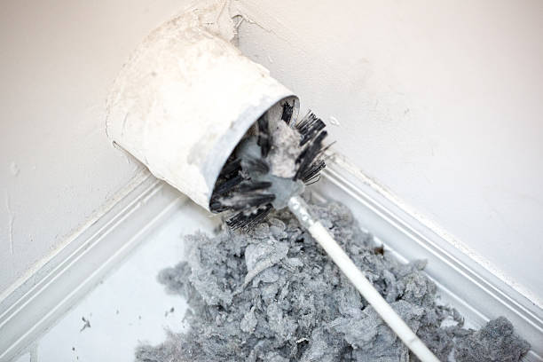 Best Ductwork Cleaning Services  in Brighton, MI