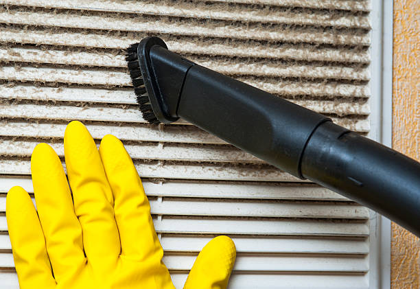 Best Home Air Vent Cleaning  in Brighton, MI