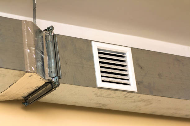 Best Affordable Duct Cleaning Services  in Brighton, MI